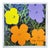 Andy Warhol / CMOA, Flowers, 1980s, Limited Edition Lithograph For Sale