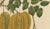 Paper Sheep van Nooten, Star Fruit Botanical, 1880, Chromolithograph For Sale - Image 7 of 10