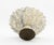 Alabaster Italian Neoclassical Style Alabaster Tazza For Sale - Image 8 of 8