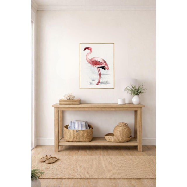 African Lesser Flamingo by C. G. Finch-Davies, Vintage Reproduction Bird Art Print, 18″ × 24″ For Sale - Image 3 of 8