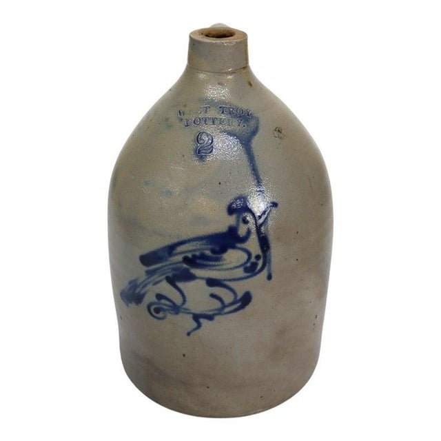 Late 19th Century West Troy Pottery Salt Glazed Stoneware Jug With Bird Signed C1870 For Sale - Image 5 of 12