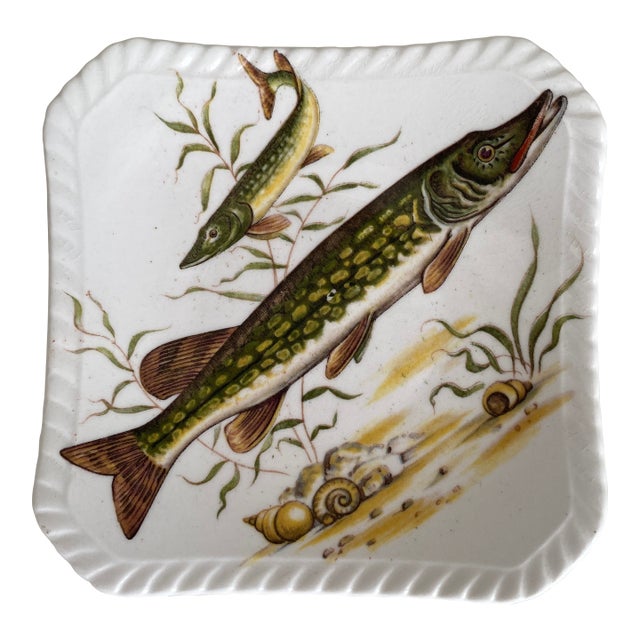 Vintage Petite Royal Adderly Fine Bone China Fish Service Plate or Trinket Dish For Sale