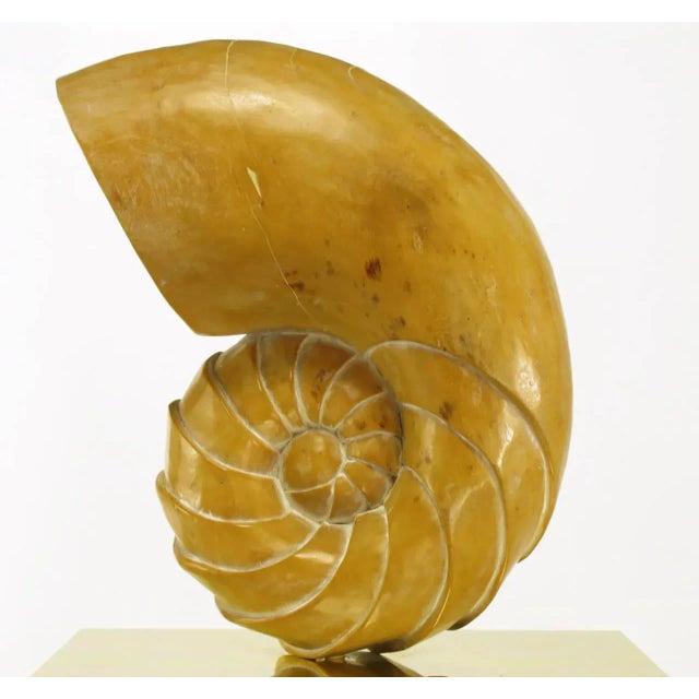 Gold Carved Wood Ammonite Shell Sculpture on Brass Pedestal For Sale - Image 8 of 9