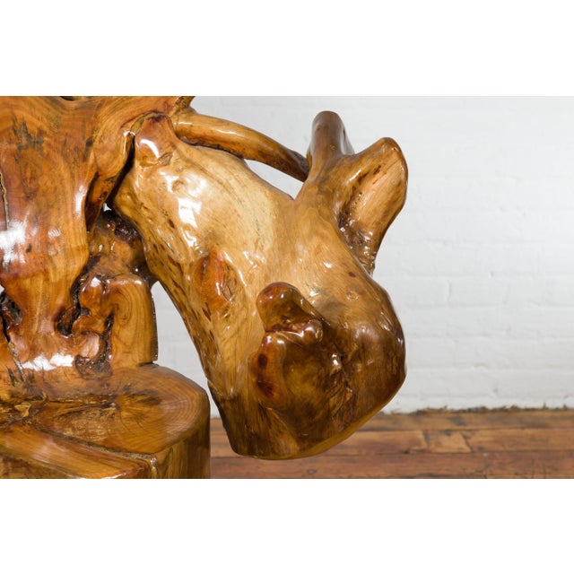 Vintage Camphor Wood Root Chair with Natural Varnish Lacquer For Sale - Image 4 of 12