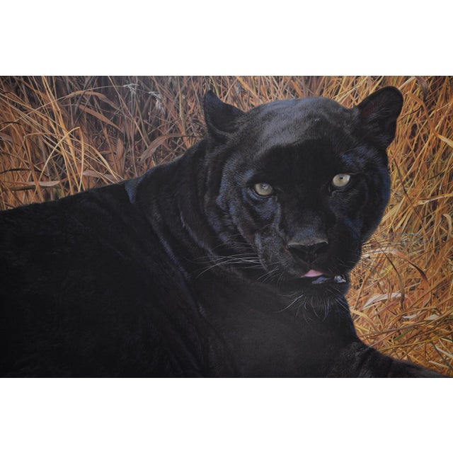 A pristine, never framed impression of Carl Brenders' celebrated black leopard portrait, hand signed in pencil by the...