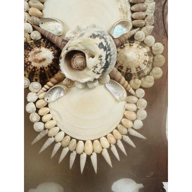 Vintage Shell Art For Sale In Charleston - Image 6 of 7