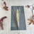 Wood Herbarium Flower Pollination, Germany, 1950s For Sale - Image 7 of 11