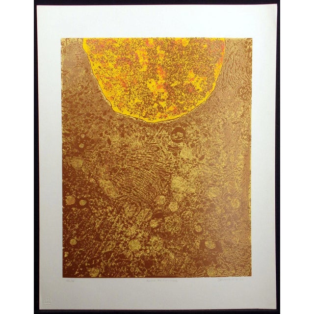 1975 limited edition serigraph/silkscreen art print on paper by Norbert Irvine. Hand signed, titled, dated and numbered...