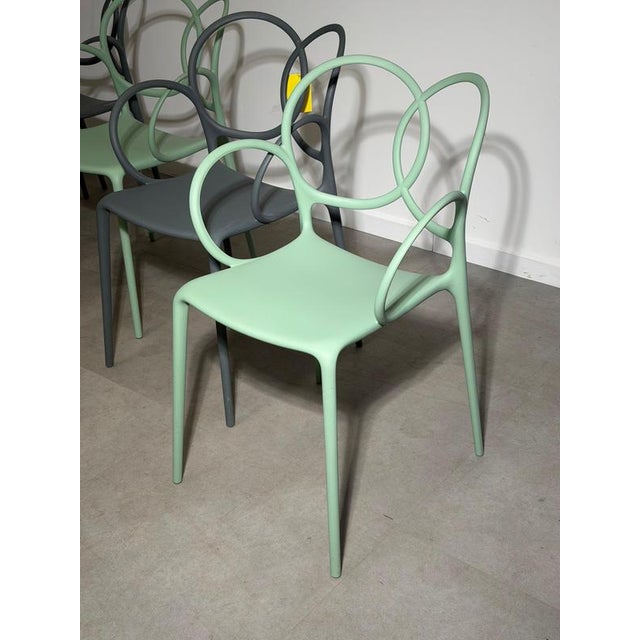 Sissi Chairs from Driade, Set of 6 For Sale - Image 4 of 7