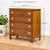 Early 19th Century American Federal Hepplewhite Style Mule Chest Blanket Box For Sale - Image 6 of 11