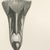 After Lilian Medland, Heads of the Wild Geese, 1909, Print For Sale - Image 6 of 12