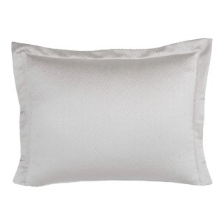 Tagami Cotton Standard Sham, Oyster For Sale