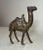 Camel Rare Antique Original A. C. Williams Orak Painted Camel Cast Iron Still Bank For Sale - Image 8 of 9