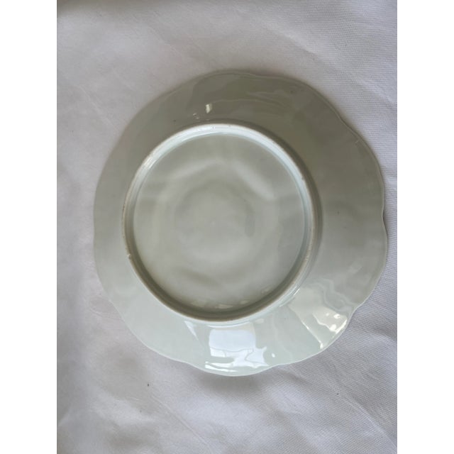 Antique Majolica White Oyster Plate For Sale - Image 4 of 10