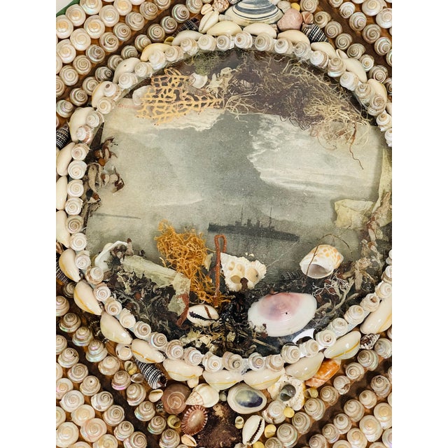 Antique Sea Shell Sailors Valentines American Folk Art For Sale In Miami - Image 6 of 6