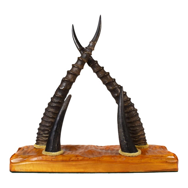 Early 20 Century Antelope Horn Desk Letter Paper Organizer For Sale