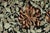 Boho Chic 1990's Pak-Persian Black/Green Wool Rug - 5'11'' X 9'0'' For Sale - Image 4 of 9