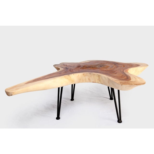 One Slab Living Edge Coffee Table With Black Iron Legs 49 For Sale In Greensboro - Image 6 of 6