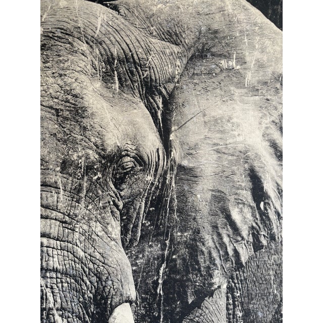 Modern Screen Print - Elephant For Sale - Image 4 of 5