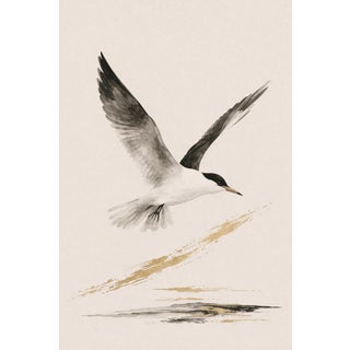 Coastal Seabird Study, Minimalist Nautical Art Print, 24″ × 36″ Reproduction For Sale