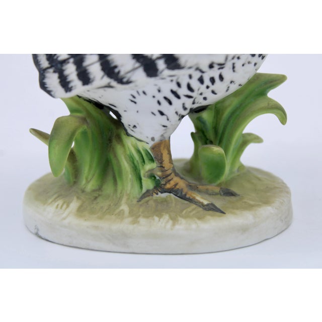 Vintage Farmhouse Black and White Ceramic Chickens For Sale - Image 11 of 13