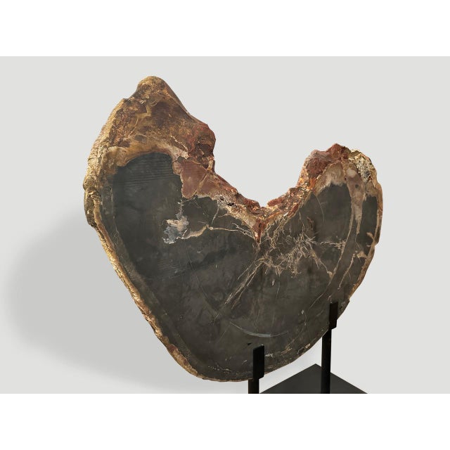 2010s Andrianna Shamaris Impressive High Quality Petrified Wood or Sculpture For Sale - Image 5 of 5