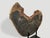 2010s Andrianna Shamaris Impressive High Quality Petrified Wood or Sculpture For Sale - Image 5 of 5