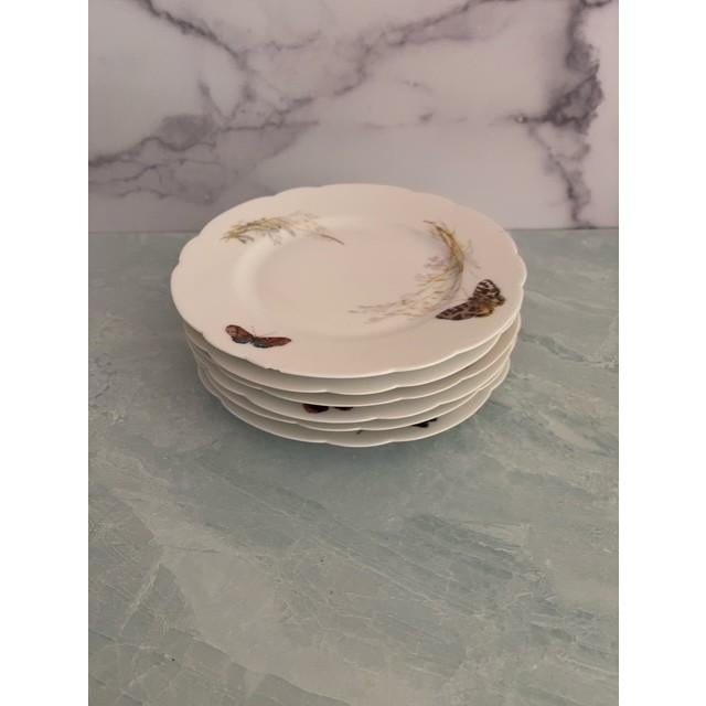 Traditional Antique Haviland Limoges Meadow Visitors Salad Plate, Set of 6 For Sale - Image 3 of 5
