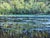 Other Side of the Island by Sheri Farabaugh | Oil on Linen Landscape with water and trees For Sale