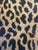 Late 20th Century Clarence House "Kalahari" Leopard Fabric For Sale - Image 5 of 7