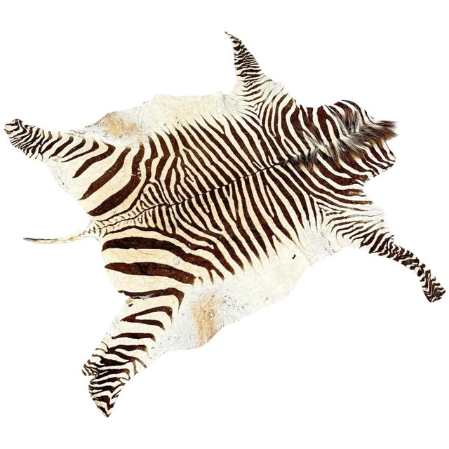 Black Vintage Zebra Hide Rug, 1950s For Sale - Image 8 of 8