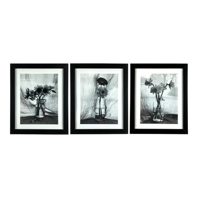 Vintage Set of 3 Framed Monotone Flower Bouquets in Glass Vases For Sale