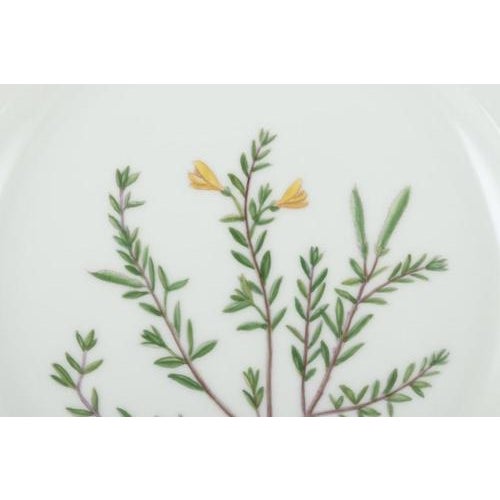 Flora Danica Plate in Hand-Painted Porcelain with Flowers from Royal Copenhagen, 1968 For Sale - Image 3 of 8
