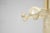 Cream Planta Coat Rack Designed by Giancarlo Piretti for Anonima Castelli, Italy, 1970s For Sale - Image 8 of 18