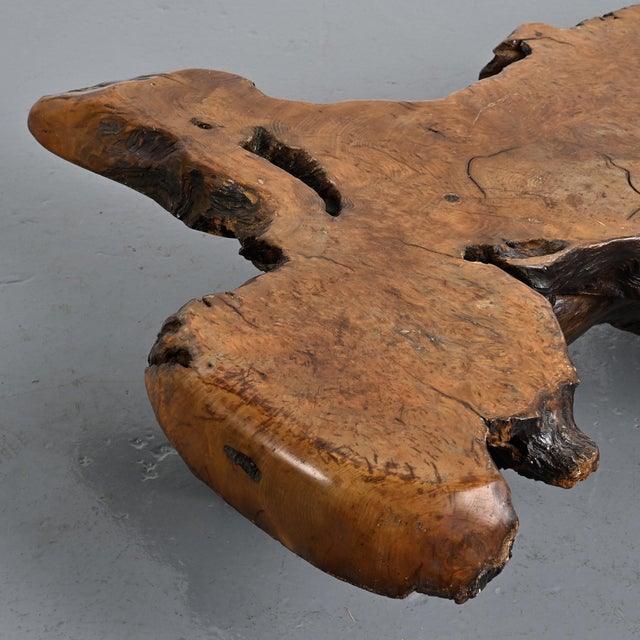 Brutalist Elm Burl Coffee Table, 1960 For Sale - Image 4 of 15