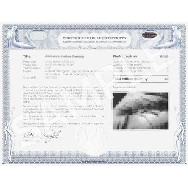 Contemporary Contemporary Art Photograph "Edge of Diversion" Signed Numbered Contemporary Original Print For Sale - Image 3 of 5