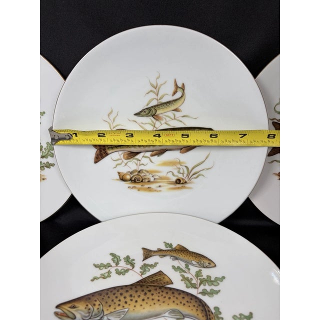 Beautiful set of six vintage **Bareuther Waldsassen** luncheon plates, expertly crafted in **Bavaria, Germany**. Each...