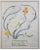 Watercolor on Paper, "The Twelve Divisions of Narcissus" depicting the Trumpet, Large Cupped, Small Cupped, Double,...