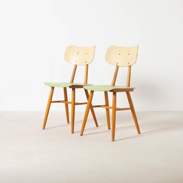 Set of 2 mid century dining chairs produced by TON Czechoslovakia 1960s. Made od beech and green / cream painted plywood....