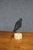Early 20th Century Carved Black Crow Folk Art Decoy on Wood Base For Sale - Image 10 of 12
