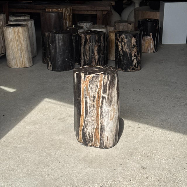 Black Side Table in Black Petrified Wood with White Sides and Beige Striations, 1980s For Sale - Image 8 of 18