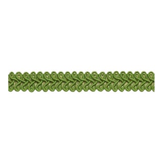 Schumacher Astor Braid Indoor & Outdoor in Leaf For Sale