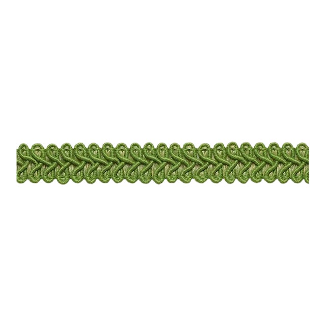 Schumacher Astor Braid Indoor & Outdoor in Leaf For Sale