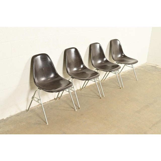 Herman Miller Charles & Ray Eames for Herman Miller DSS Seal Brown Stacking Shell Chairs | Set of Four For Sale - Image 4 of 12
