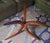 Mid-Century Danish Coffee Table in Teak with Circular Glass Top, 1960s For Sale - Image 9 of 11