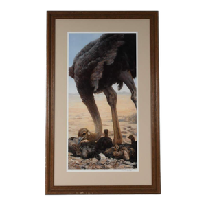 Framed Lithograph Titled "Hatchlings" by John S. Lester