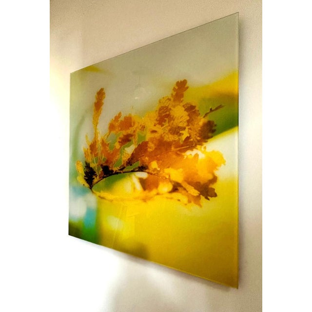 Early 21st Century MK Semos, Abstract Image, Film Photograph, 2025 For Sale - Image 5 of 12