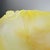 Vintage Crystal Mimosa Bowl from Daum For Sale - Image 4 of 8