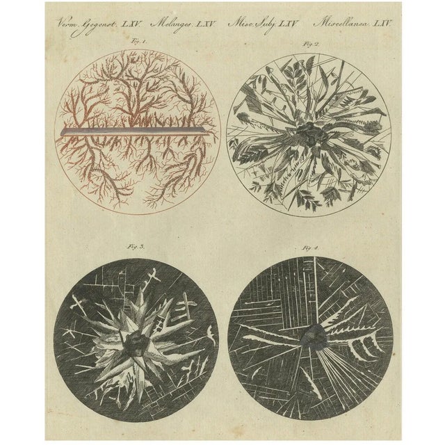 Microscopic Views of Metallic Crystal Trees: Copper, Lead, Pewter and Zinc, 1805, Paper For Sale