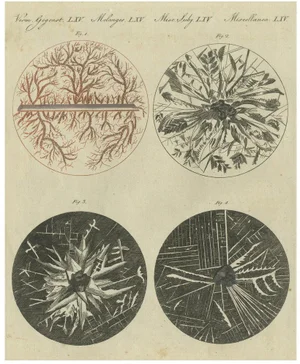 Microscopic Views of Metallic Crystal Trees: Copper, Lead, Pewter and Zinc, 1805, Paper